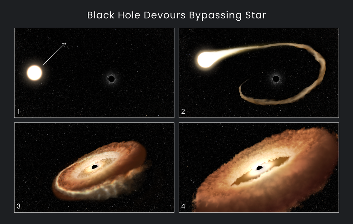    Этапы поглощения черной дырой пролетающей мимо звездыNASA, ESA, Leah Hustak (STScI)