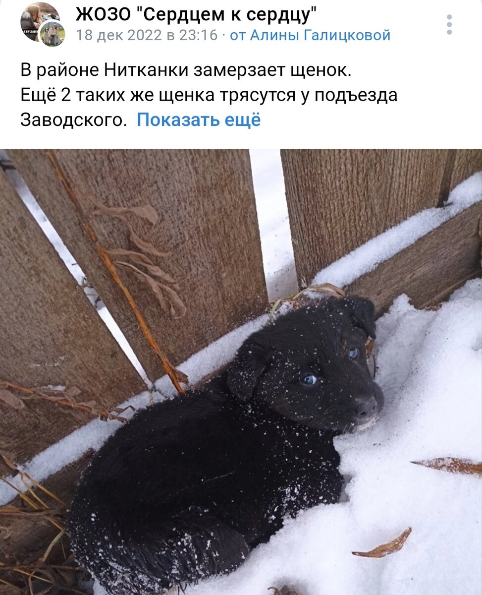 Тот самый пост. Взят из https://vk.com/wall-124002988_293645