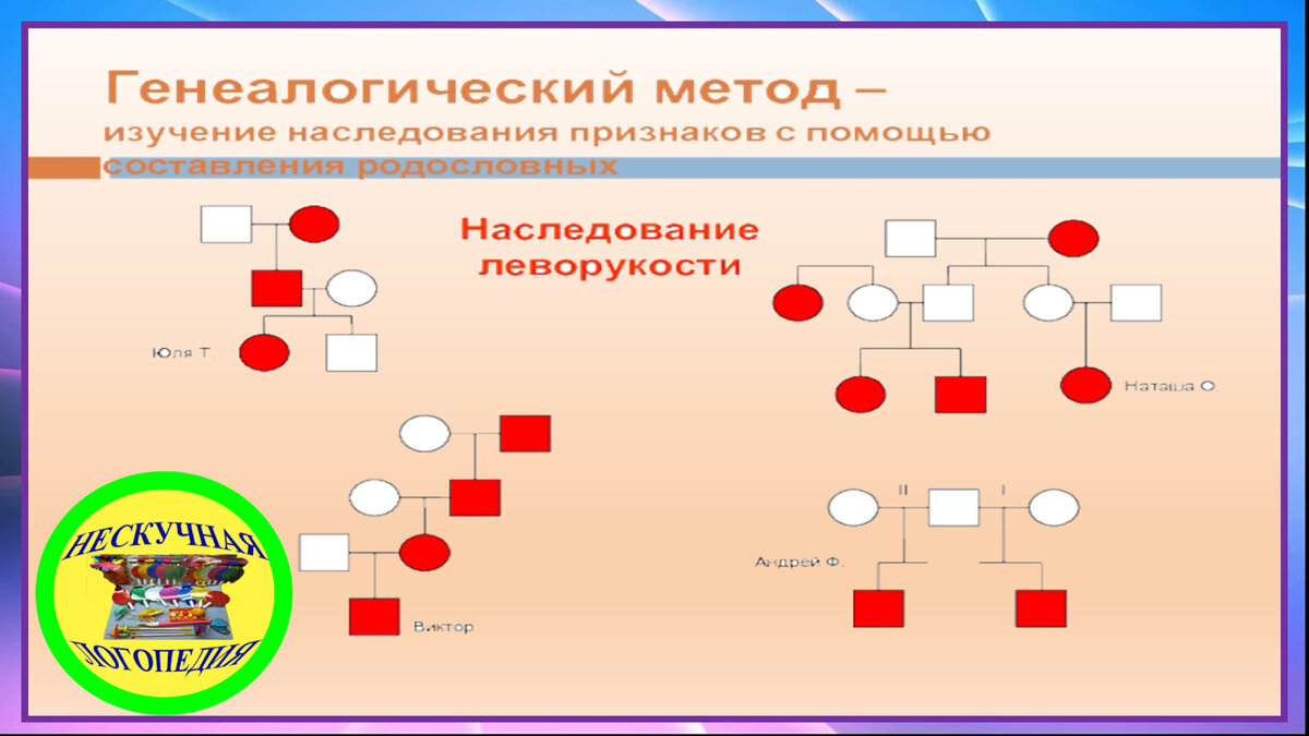 Проект изучение наследования признаков леворукости в семье