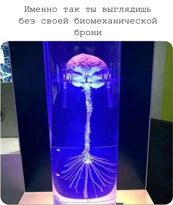 Там за сознанием есть еще дух, который, в свою очередь, этой разветвленной и состоящей из нервов конструкцией управляет, но об этом как-нибудь в другой раз