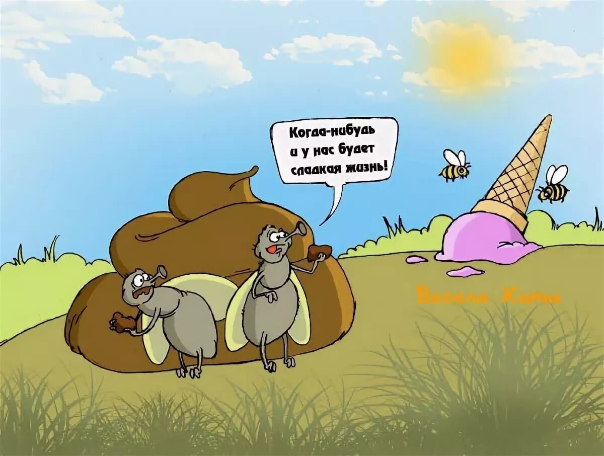 Приколы с котами с надписями до слёз. Какой пустяк сделать хоть раз что-нибудь не так. Шутки про бывших. Хоть какой нибудь. Господи пошли мне любви.