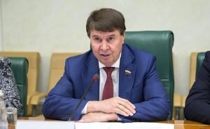    Фото: council.gov.ru Ирина Амелина