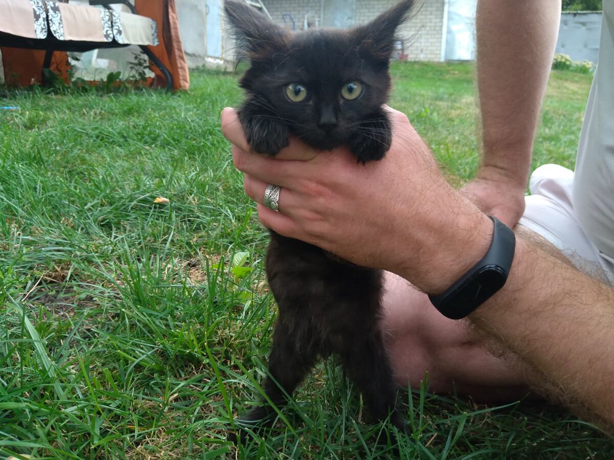 Маленький Кай