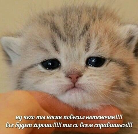 Верьте в себя 🥰