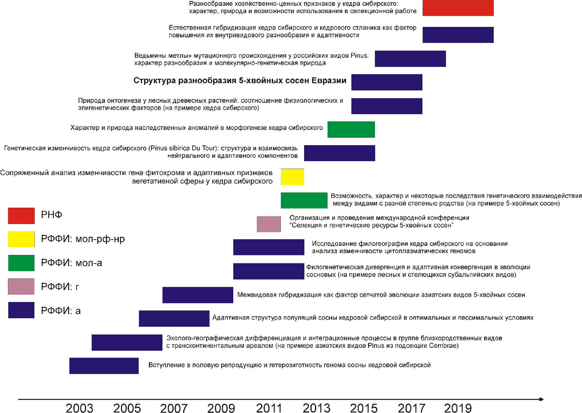 Наши реализованные конкурсные проекты с 2003 по 2021 год