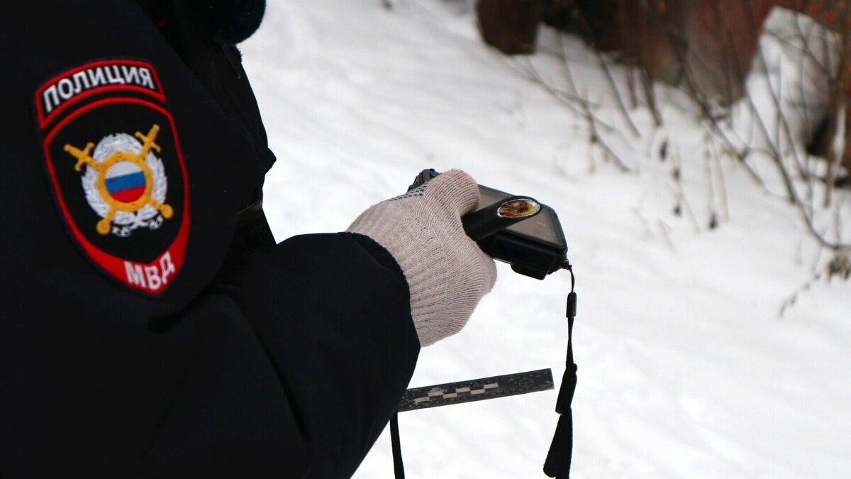     На этой неделе московские полицейские посетили Тюменскую область и выявили в ходе проверки ряд нарушений в УМВД. Основное из них заключалось в выдаче красивых номеров со стороны главы ведомства. По многочисленным жалобам горожан в Тюмени может появиться платная парковка.