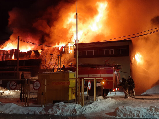     Ночью в Хабаровске сгорел крупный автосервис на улице Металлистов. Фото: ГУ МЧС России по Хабаровскому краю