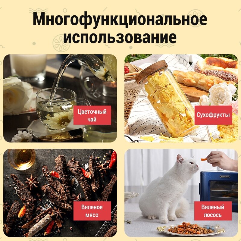3 причины почему мне нравяться сушилки для продуктов | Этасна | Дзен