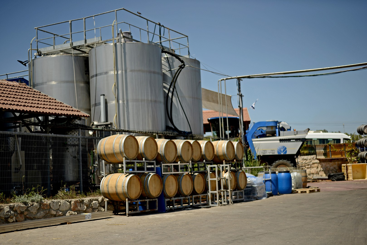 Фото: https://www.tishbi.com/en/about-us/