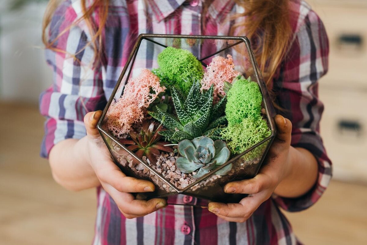    Как сделать флорариум своими руками: пошаговая инструкция 123RF/legion-media.ru