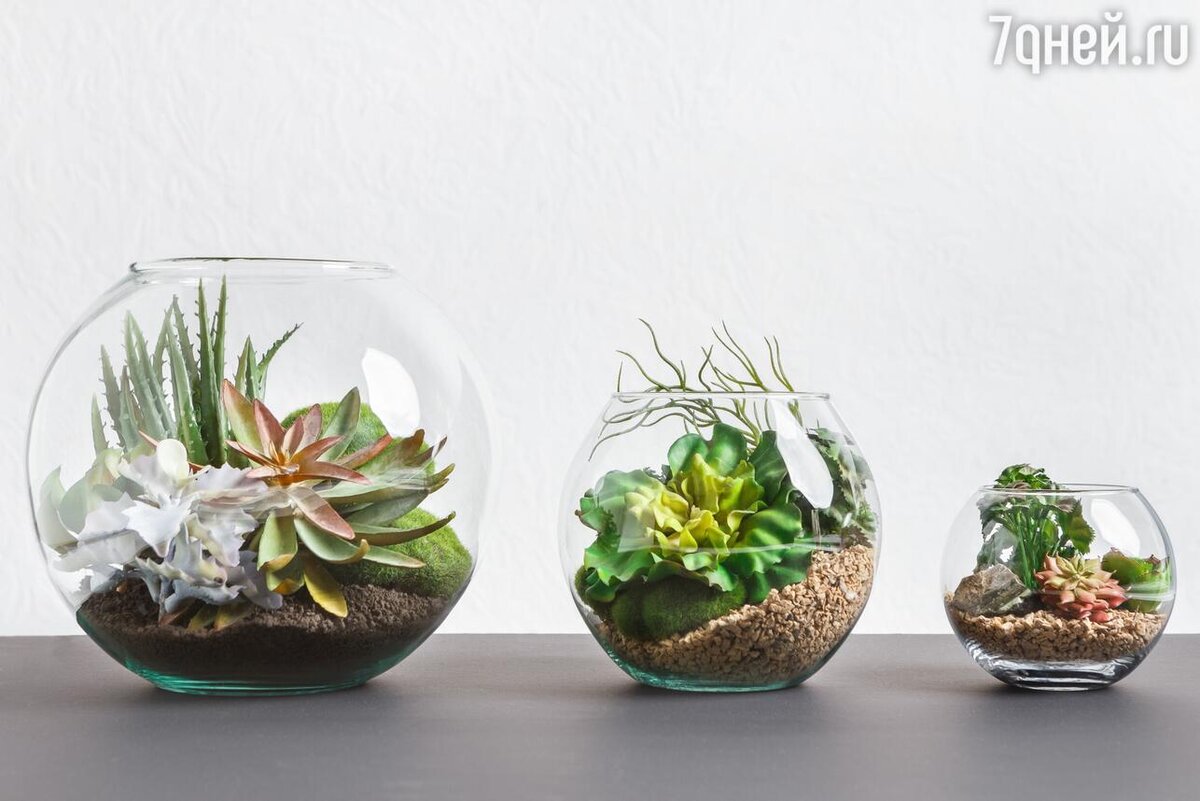     123RF/legion-media.ru