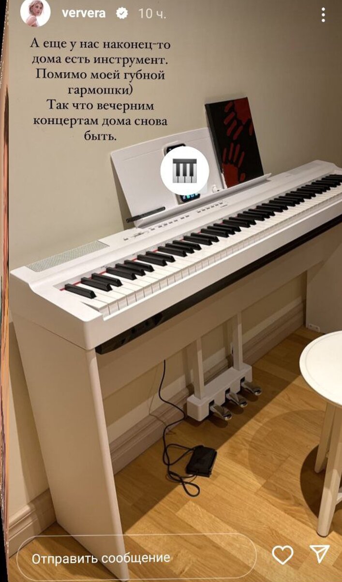    Инструмент для домашних концертов дома у Веры Брежневой Фото: Инстаграм (запрещен в РФ) Веры Брежневой