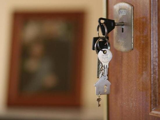     фото: pixabay.com