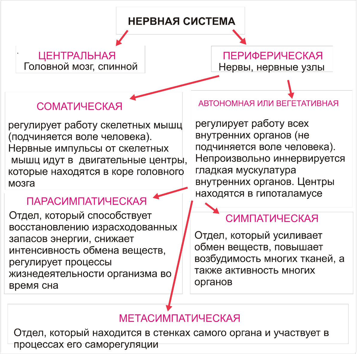 Популярные тексты песен