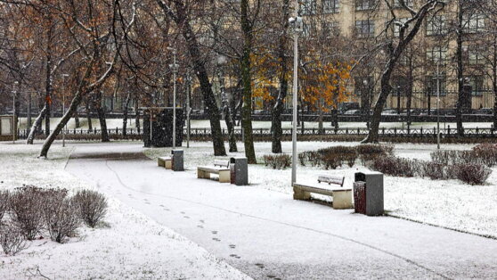    В Москве 26 января ожидаются небольшие осадки и до +1°C Анна Белая