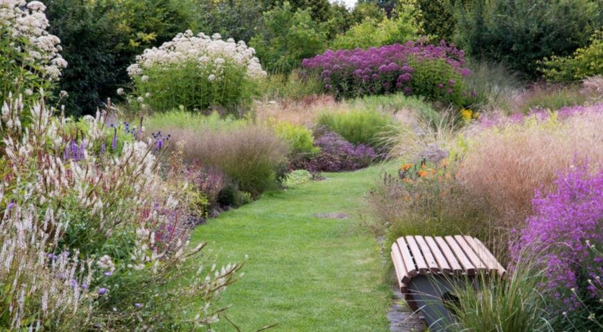 фото отсюда https://www.supersadovnik.ru/text/prirodnyj-cvetnik-v-duhe-pita-udolfa-1002868