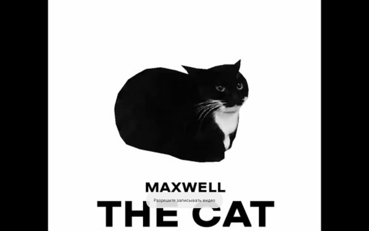 Maxwell cat картинка