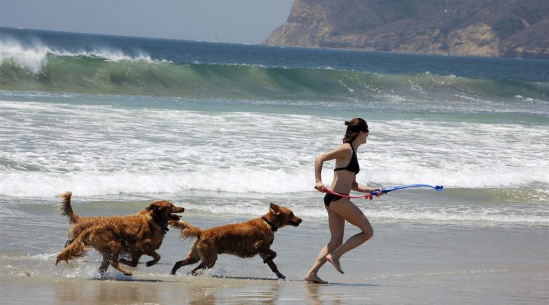 Фото из Яндекс.Картинок