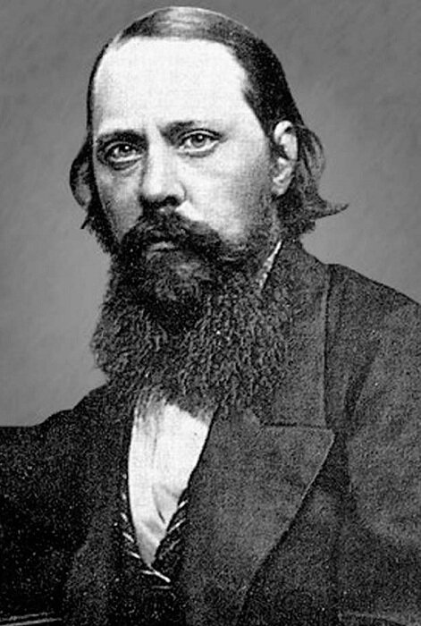 Н.Е. Салтыков- Щедрин (1826-1889) фото из Интернета