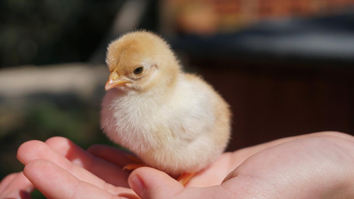 Afra Ramió/Unsplash