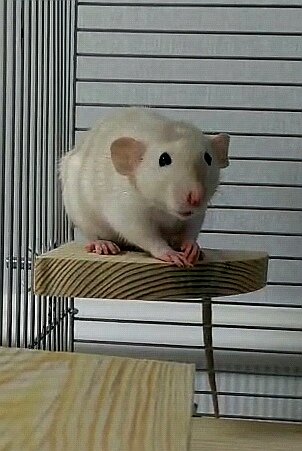 Ну разве не милашка?