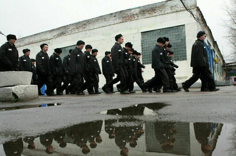 Мобилизации судимых. Мобилизации судимых. Мобилизации судимых. Дети заключенные. Мобилизация.