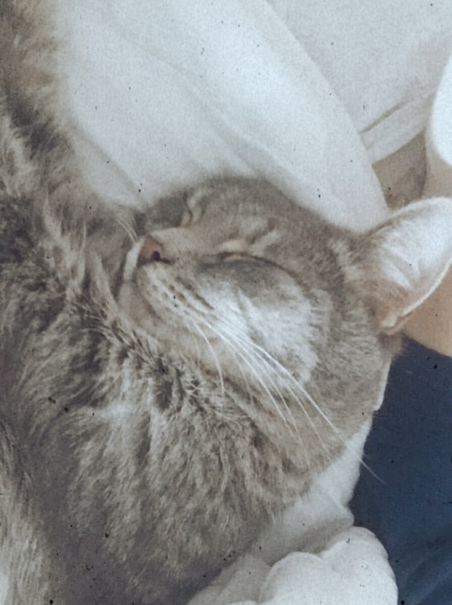 Огурчик