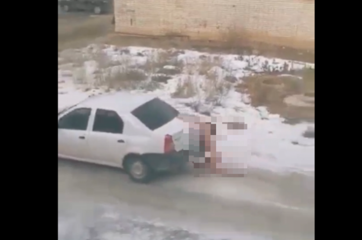    Волгоградцы обсуждают видео с обнаженной женщиной на капоте автомобиля