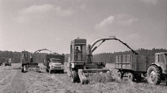 💥 Документальный фильм 1974 года - это 