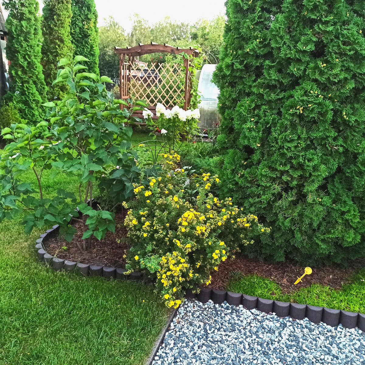 Конец августа в моем саду