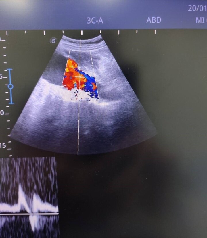     Фото: medicin.cap.ru