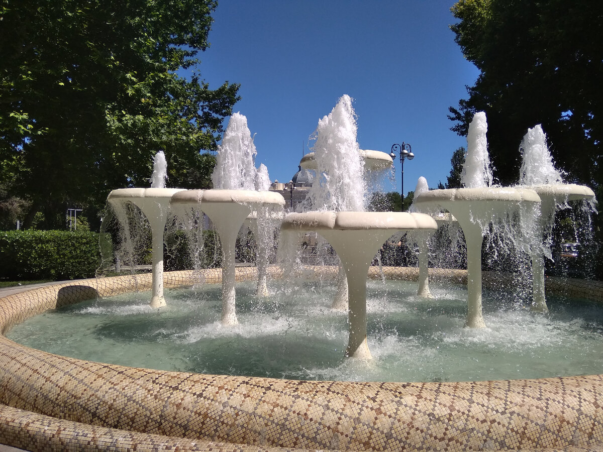 Фото автора. То ли грибы, то ли цветы. Фонтаны Баку