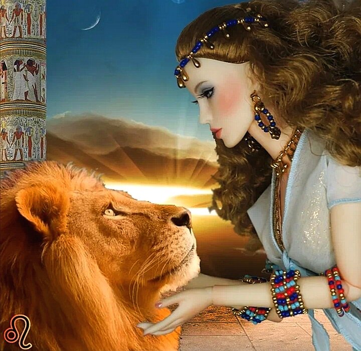 Львы и перспективы... 