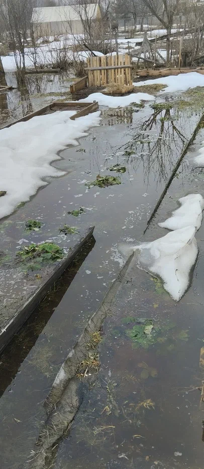Клубника под водой