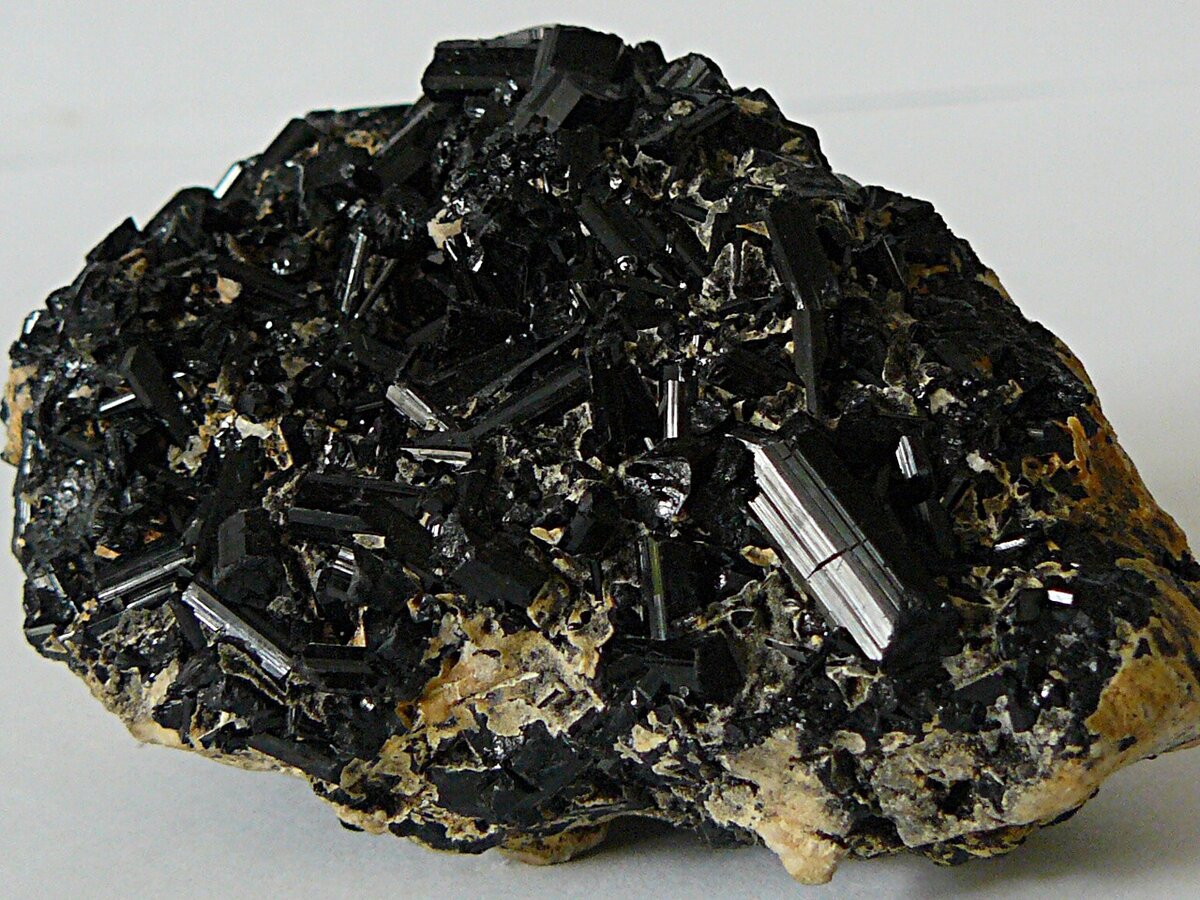 ШЕРЛ. Н. Алабашка (огород), 1968г.