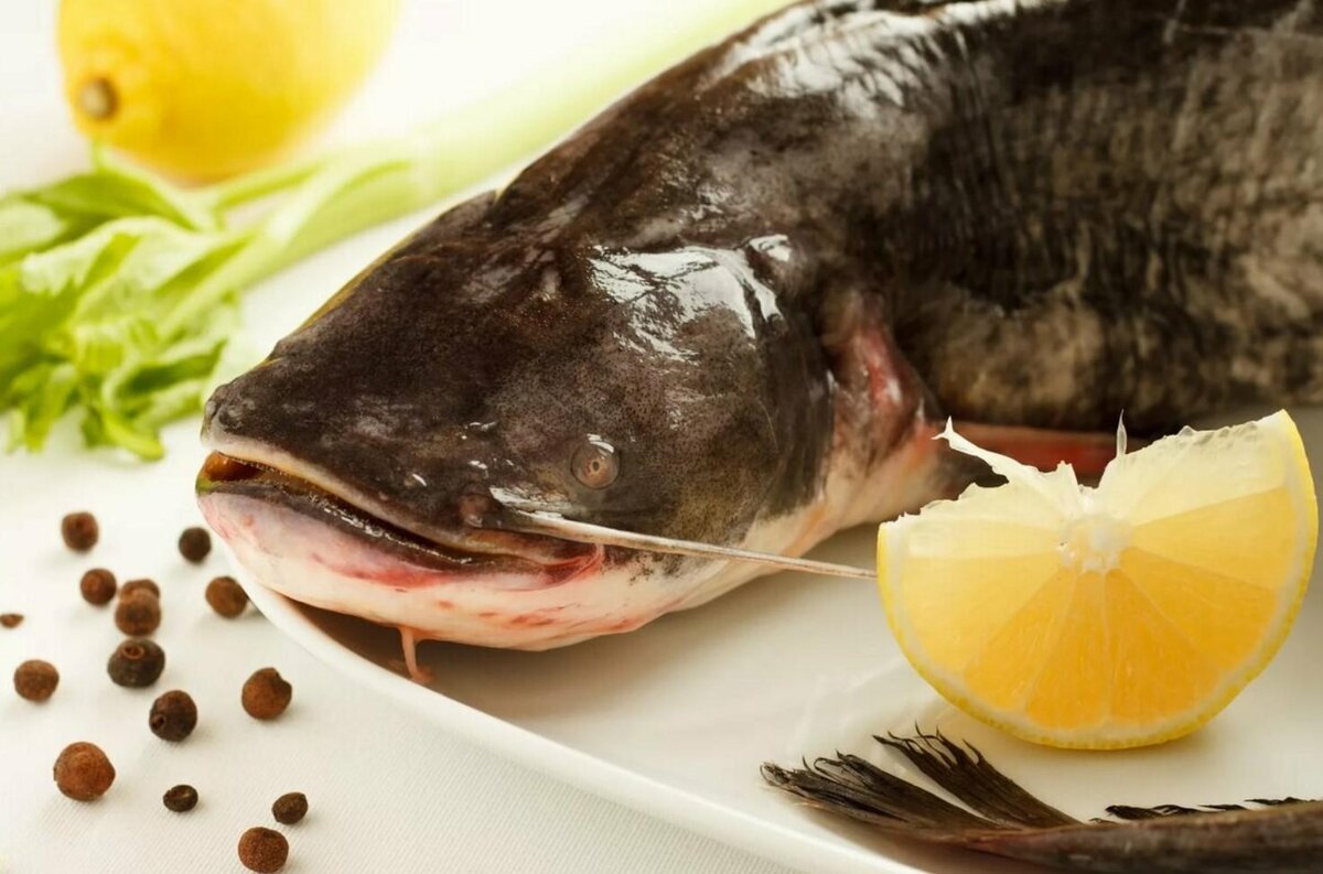 что приготовить из сома