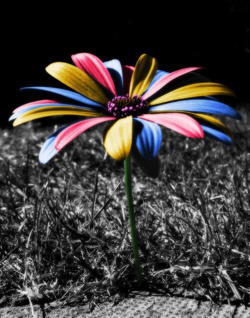 Картинка из интернета