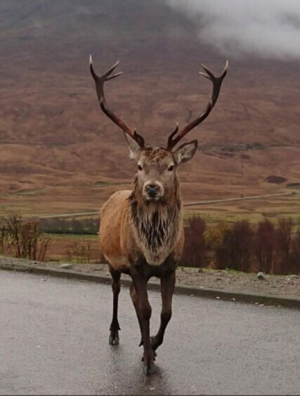 (иллюстрация из открытых источников)