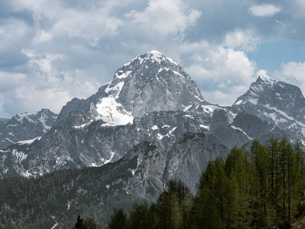 Фото с бесплатного фотоистока https://unsplash.com, автор  Krzysztof Kowalik