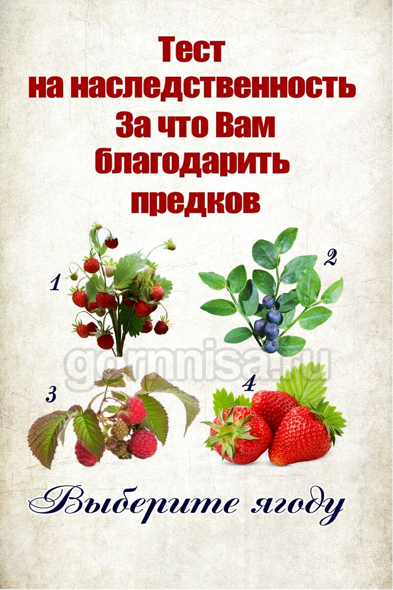    Тест на наследственность — За что Вам благодарить предков Pavlov A