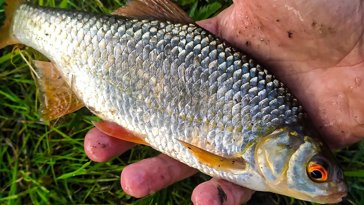 Фото: Яндекс.Картинки