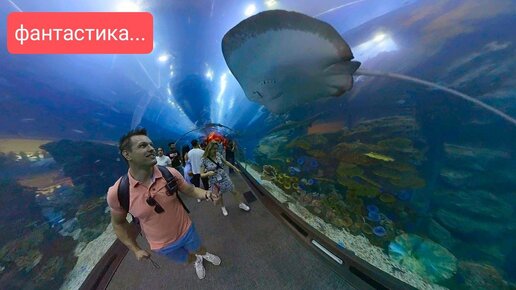 🇦🇪 Аквариум в Dubai MALL зоопарк подводный туннель видели пингвинов акул 🦈 Дубай Молл июнь 2023