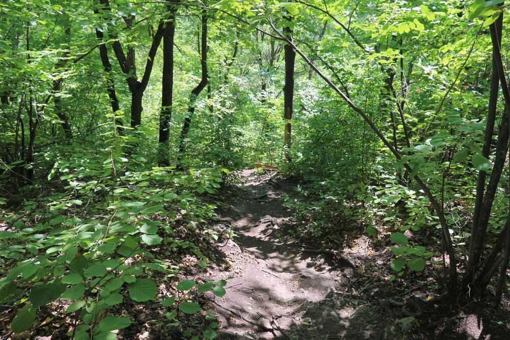 Спускаюсь по склону с велосипедом к трассе.