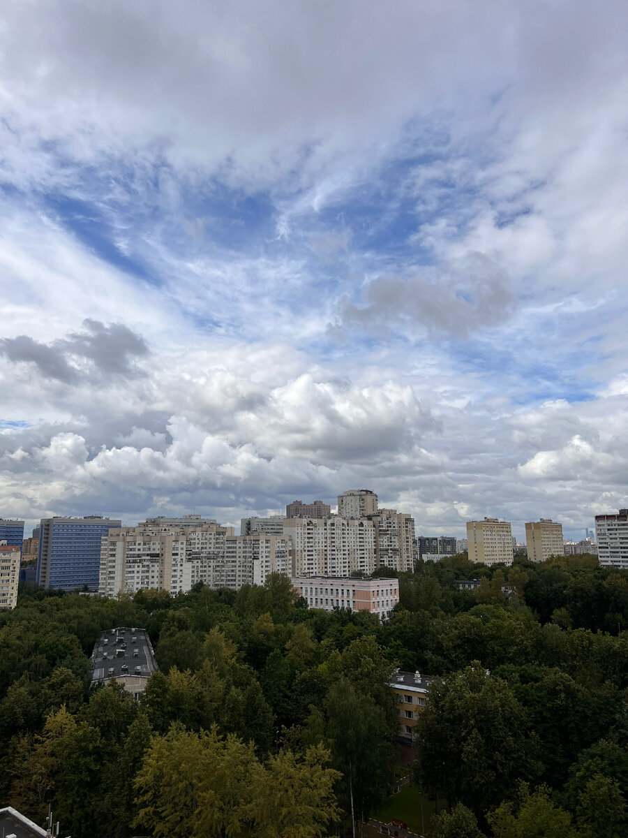 Очень резко пришла мысль показать погоду из окна, поэтому вскочила и познакомила свой мизинец с углом дивана. Назовем это фото «Несмотря на боль» )))