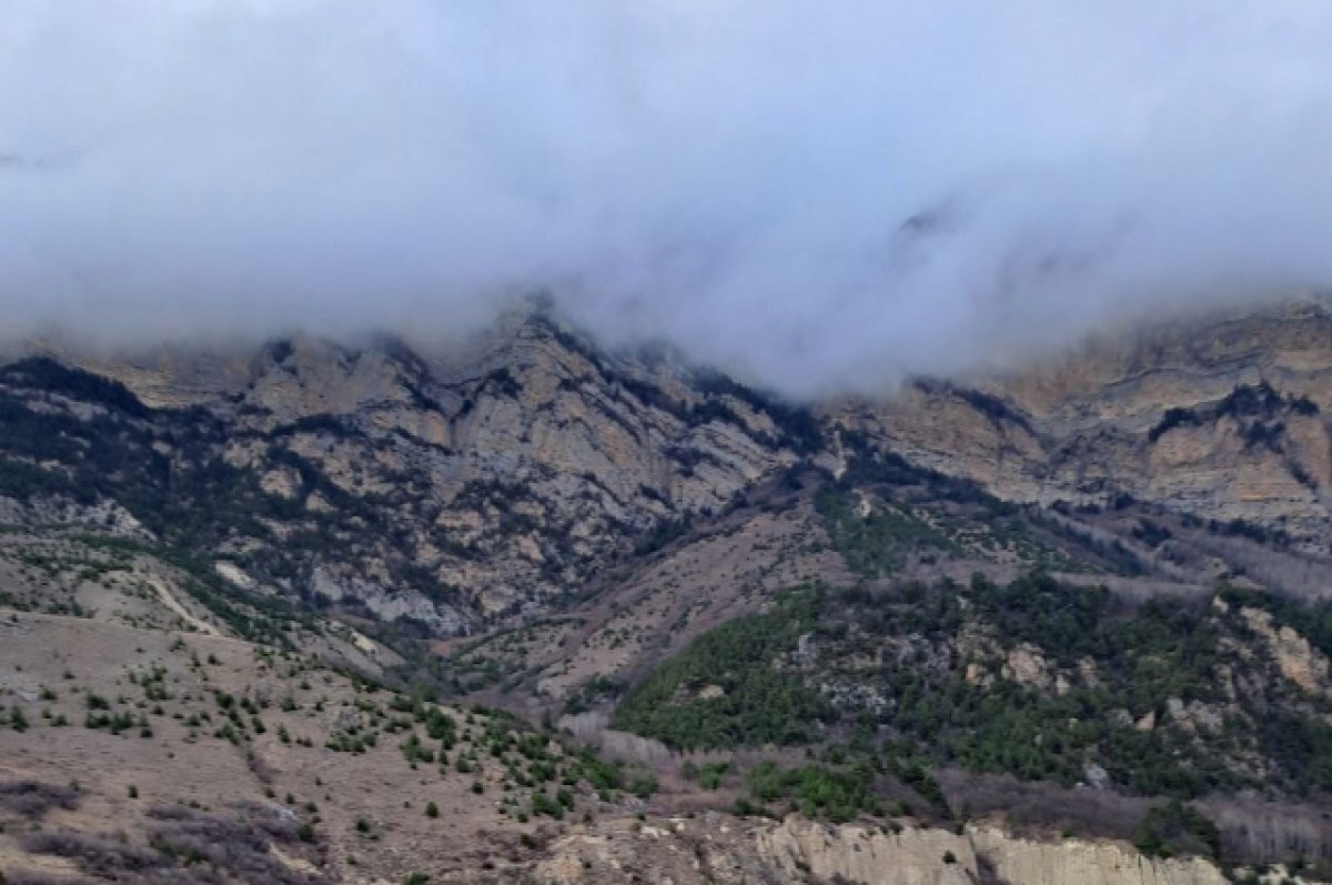    Проект к 100-летию знаменитого поэта из Дагестана Гамзатова запустил «АиФ»