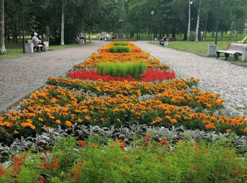Скандик парк петрозаводск. Парки Петрозаводска.