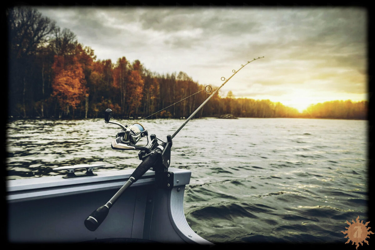 Фото с сайта pixabay.com 