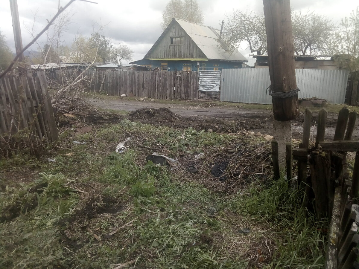 Место, где стоял экскаватор. Тем инструментом, которым дороги ровняют, экскаватор слегка задел  куст калины. 