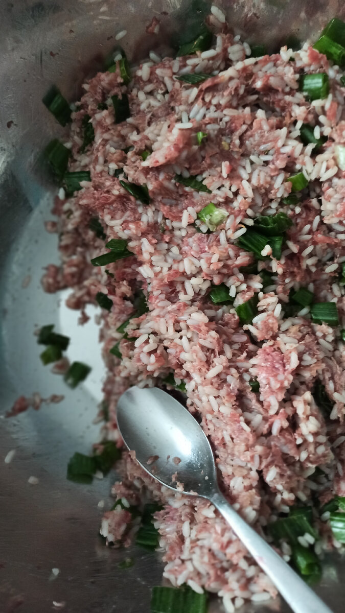 Мясная начинка