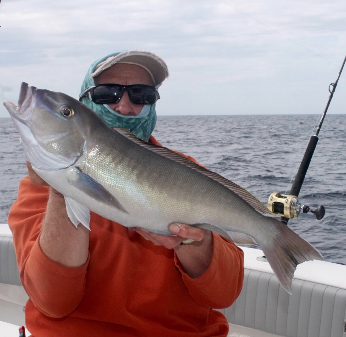 Рыбы февраль мужчины. Кафельник (Tilefish). Кафельник рыба фото. Tilefish фото. Рыба кафельник фото и описание.